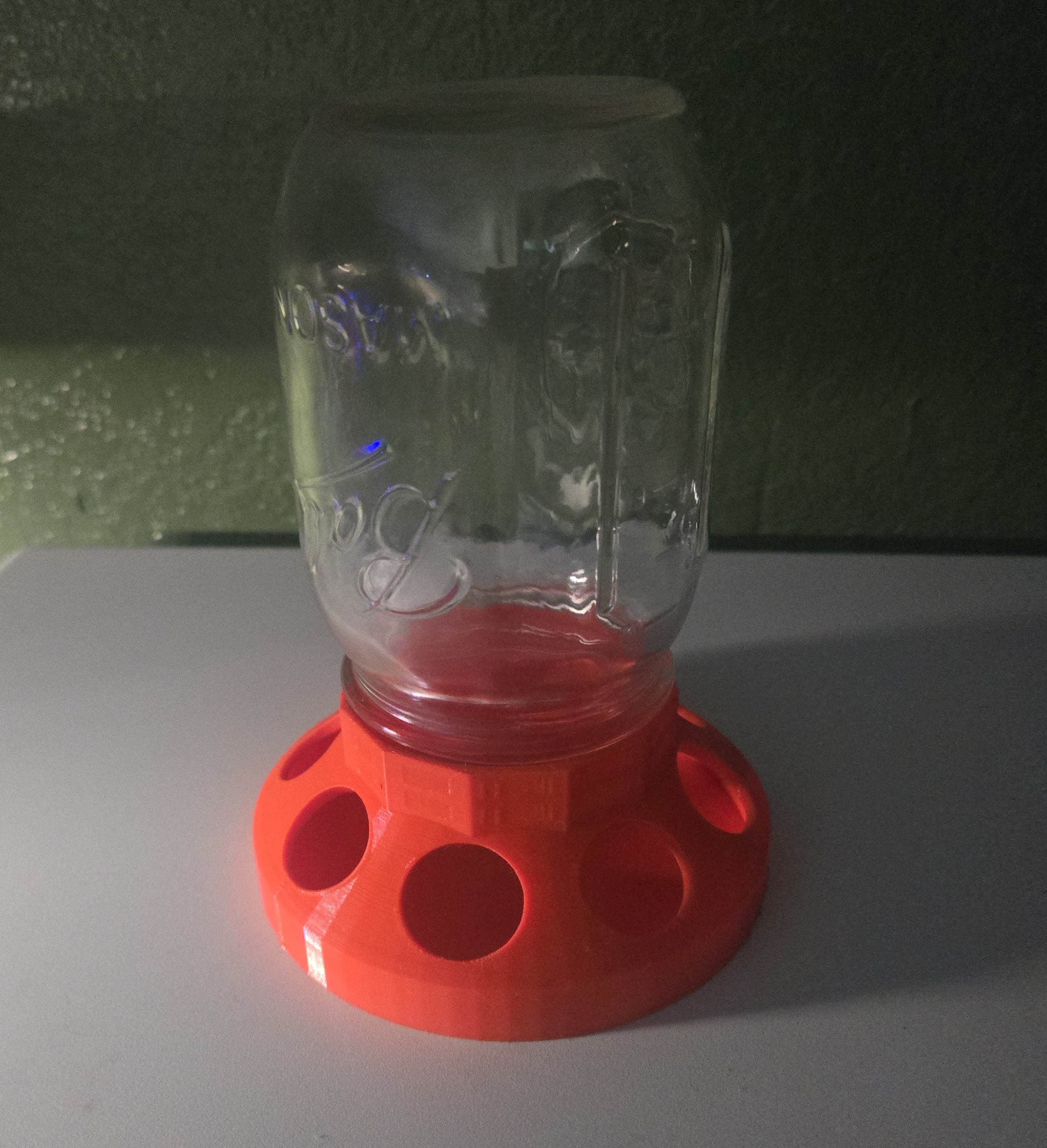 Baby Chick Feeder