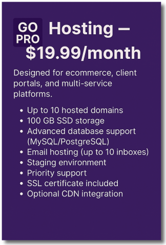 Web Hosting - Professional