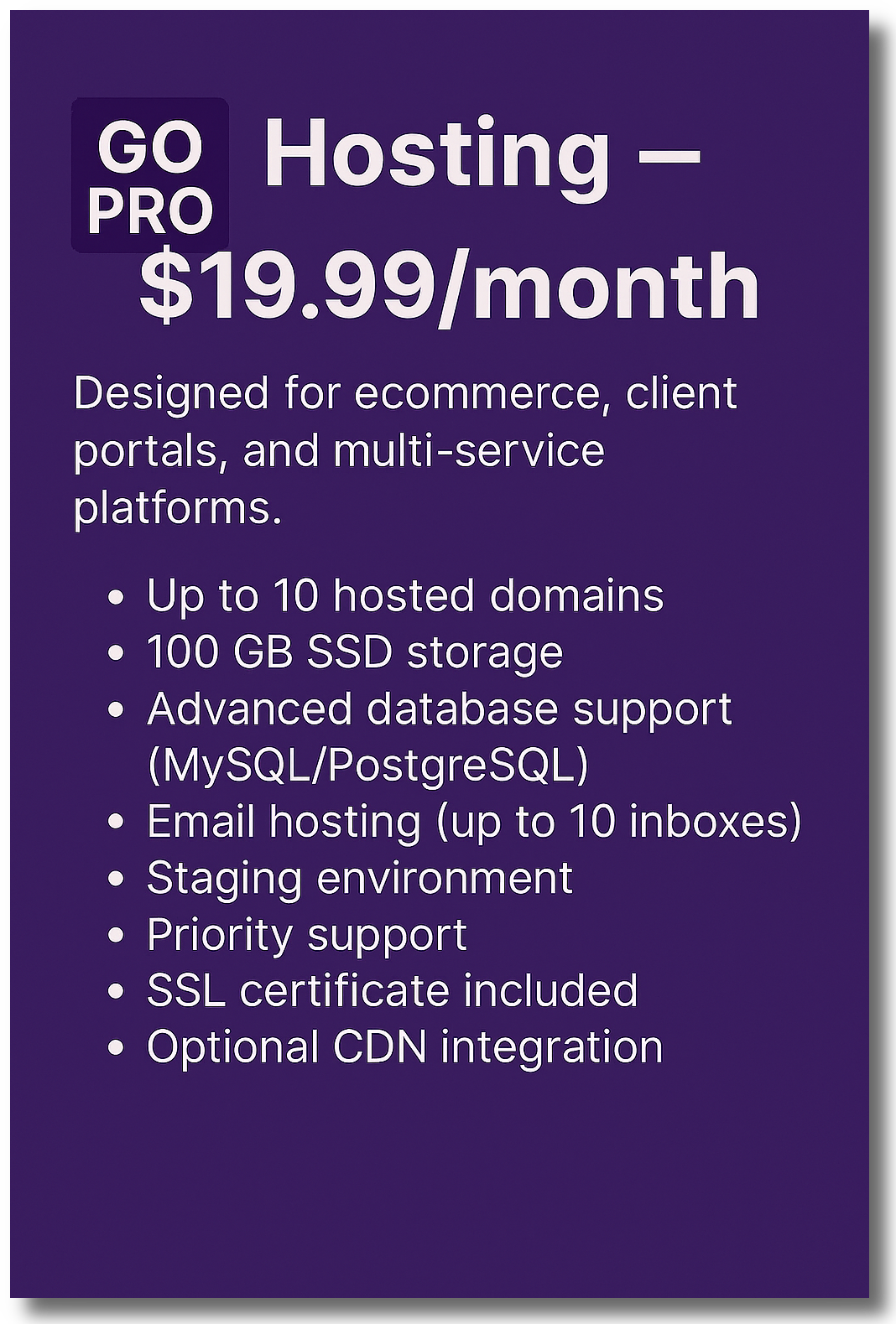 Web Hosting - Professional