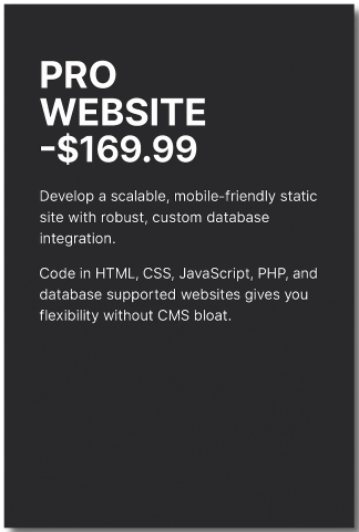 Professional Website